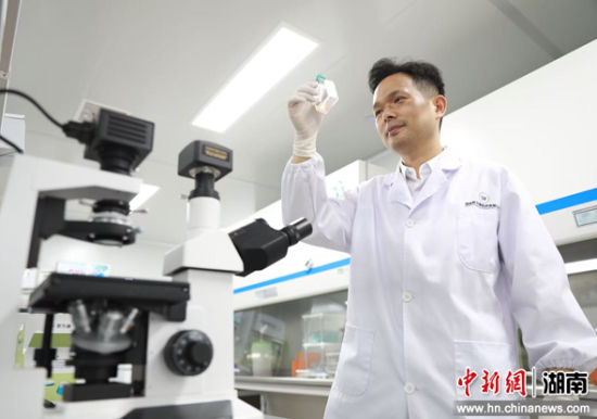 湘江新引力 | 无惧漫长考验 侨企思为康潜心解码重大疾病“芯片”