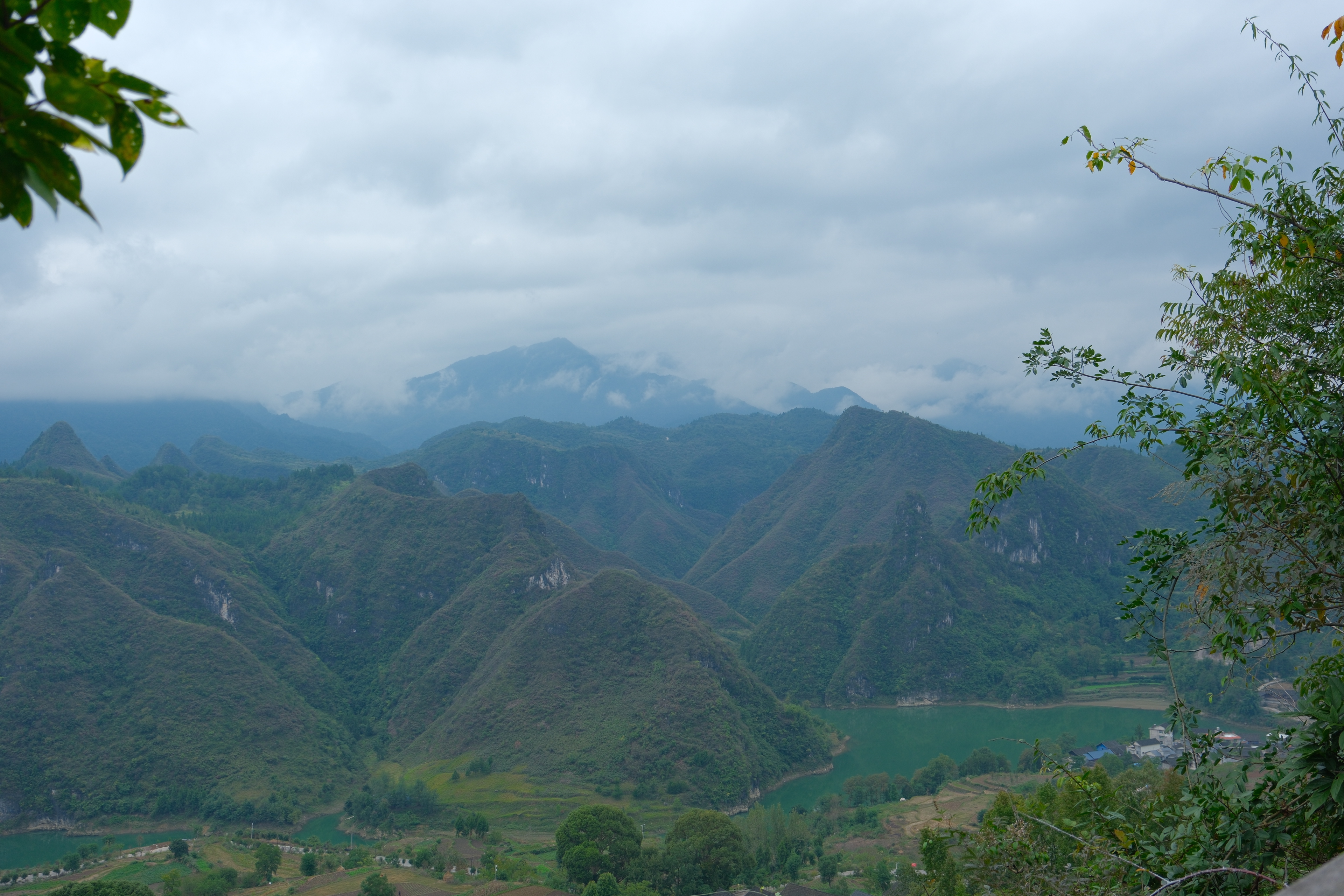 DSCF1817.JPG DSCF1817.JPG