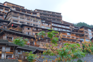 DSCF1734小.png DSCF1734小.png