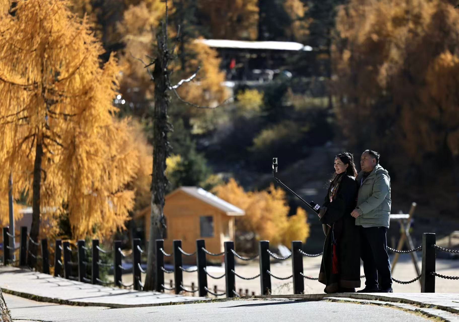 微信图片_20251112223540_603.jpg 微信图片_20251112223540_603.jpg