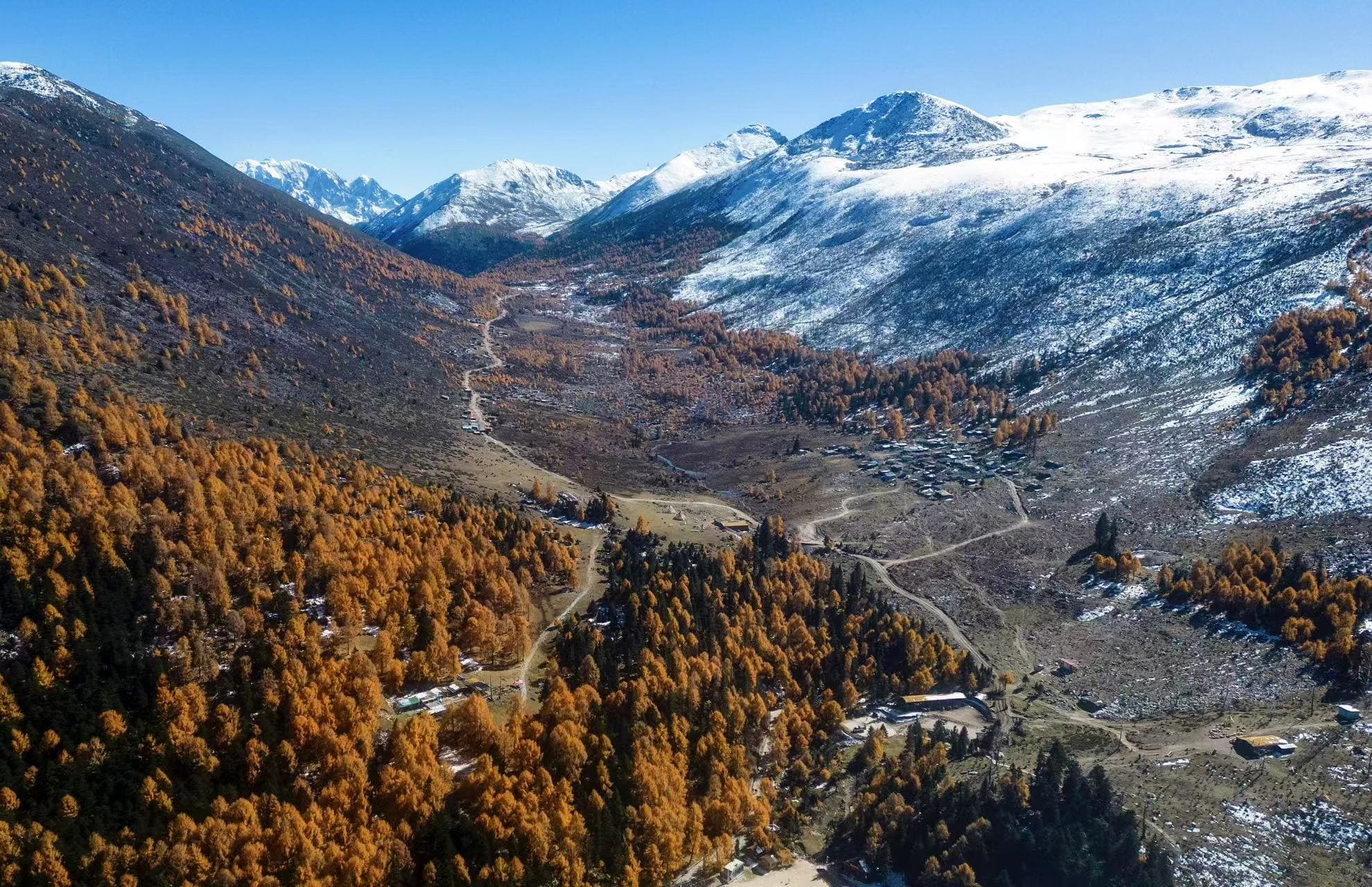 微信图片_20251112223545_602.jpg 微信图片_20251112223545_602.jpg