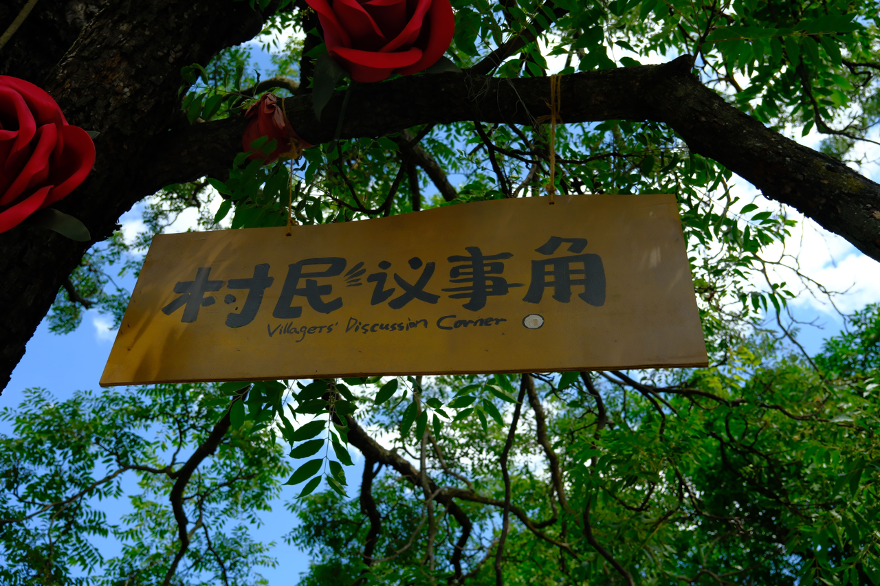 DSCF4408大.png DSCF4408大.png